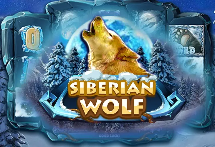 Siberianwolf
